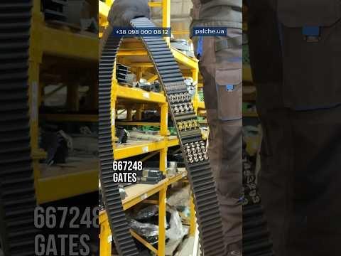 Паси для варіатора барабана LEXION в наявності , 667248 ,744965 ⠀
